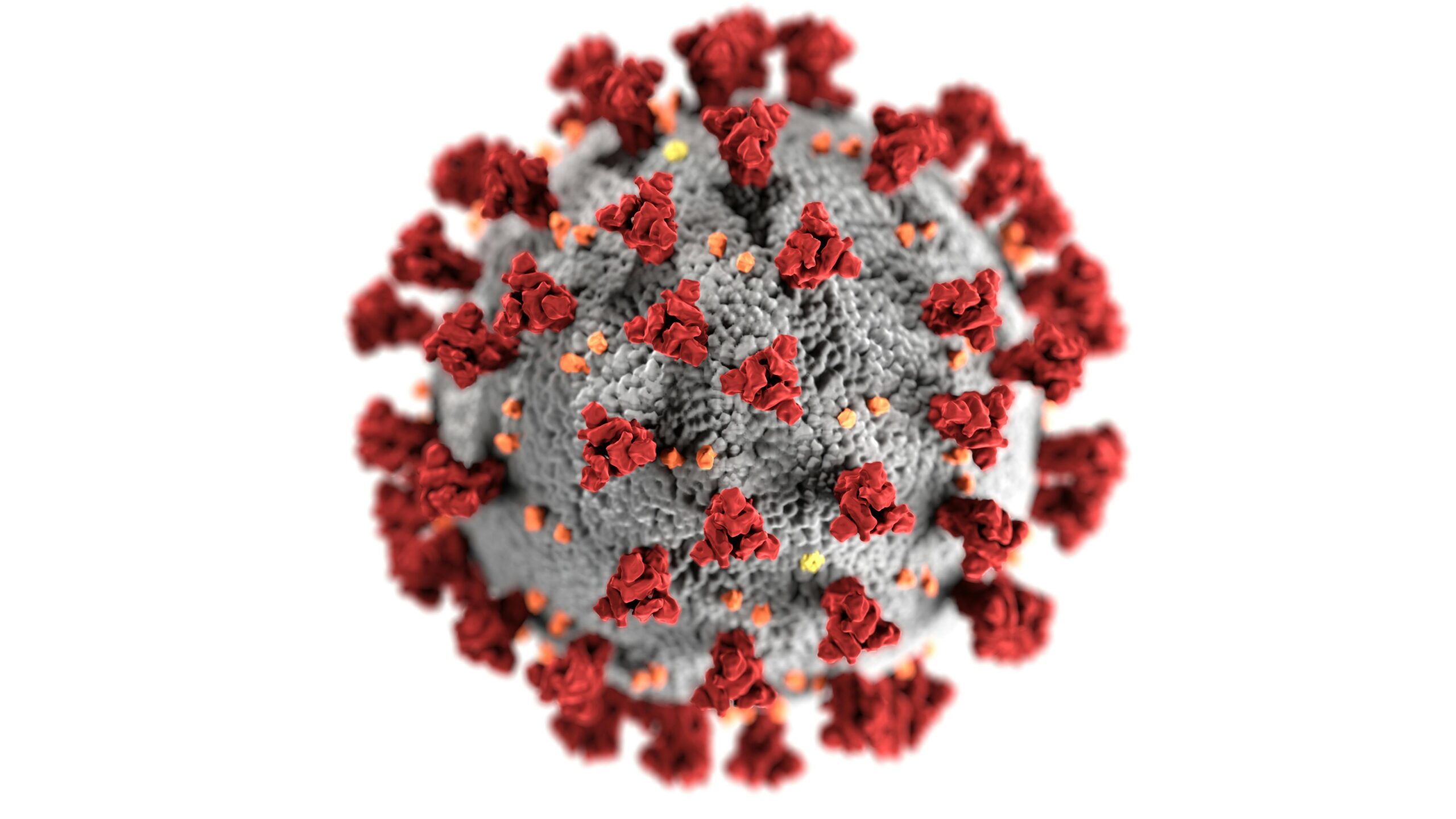 Covid-19 Cases Rise: Summer Surge Hits US and UK Amid New Variants and Seasonal Factors